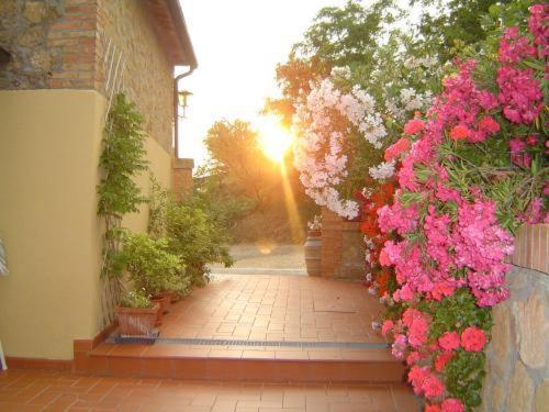 Agriturismo Colombaiolo Pienza Exterior photo