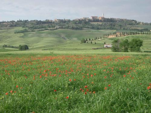 Agriturismo Colombaiolo Pienza Exterior photo